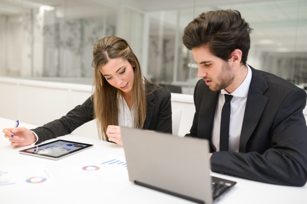 auditors