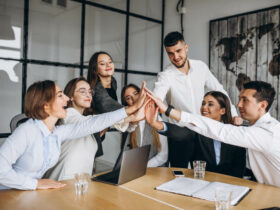 Setting up a Business