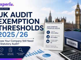 UK Audit Exemption Thresholds